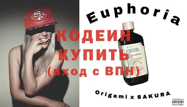 ПСИЛОЦИБИНОВЫЕ ГРИБЫ Арсеньев