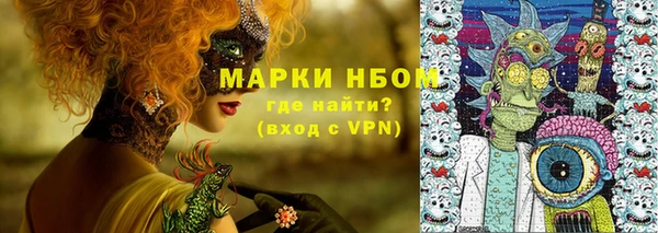 ПСИЛОЦИБИНОВЫЕ ГРИБЫ Арсеньев