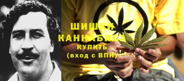 ПСИЛОЦИБИНОВЫЕ ГРИБЫ Арсеньев