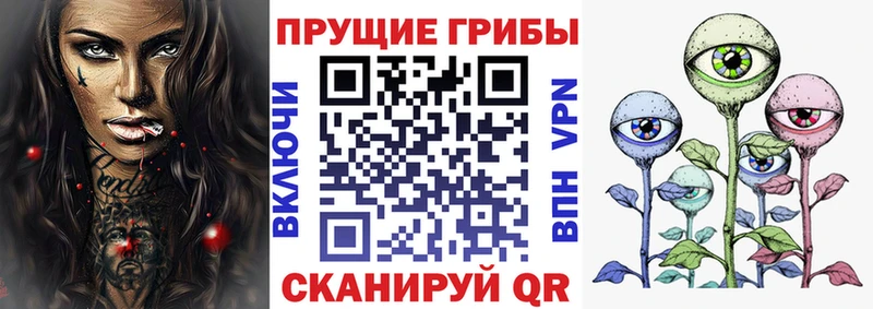Псилоцибиновые грибы GOLDEN TEACHER  KRAKEN онион  Покровск 